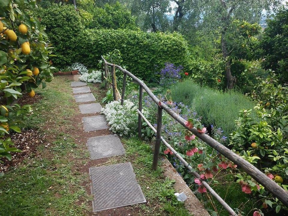 Residenza Buggiano Antica B&B - Charme Apartment In Tuscany Борго-а-Буджано Экстерьер фото